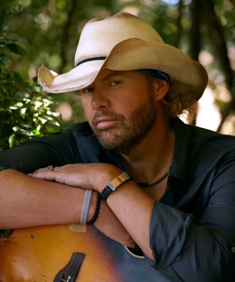 Winter Wonderland – Toby Keith